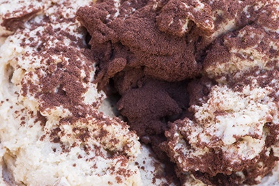 35_tiramisu